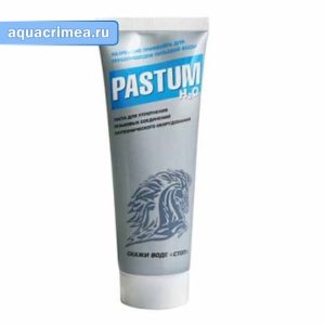 Паста уплотнительная «PASTUM» H2O 250г (туба)
